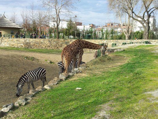 Zoo de Bursa